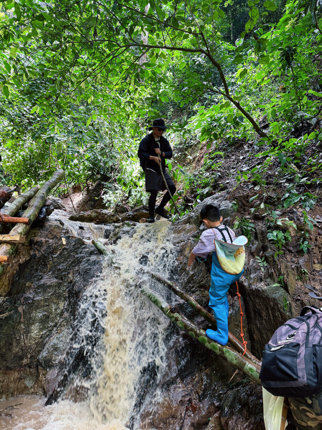 基诺山雨林徒步到底值不值?我把真实体验翻了一遍,整理出雨季出行决策指南