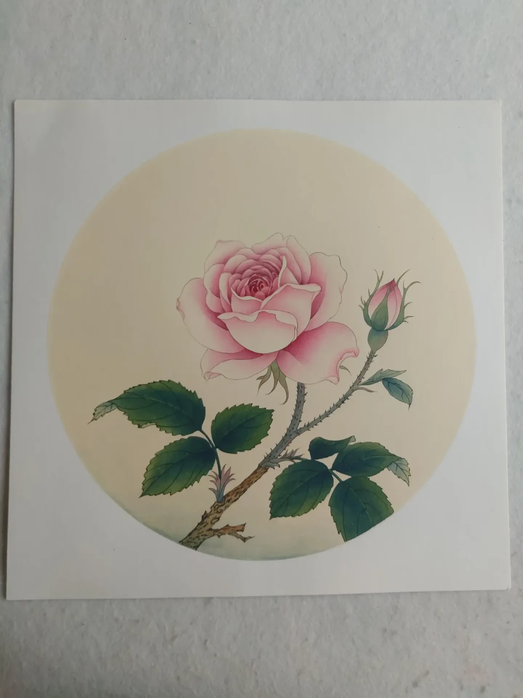 出伏入秋正当时：国画花卉零基础怎么起步，先画什么花、买什么材料、花多少钱，一篇说清