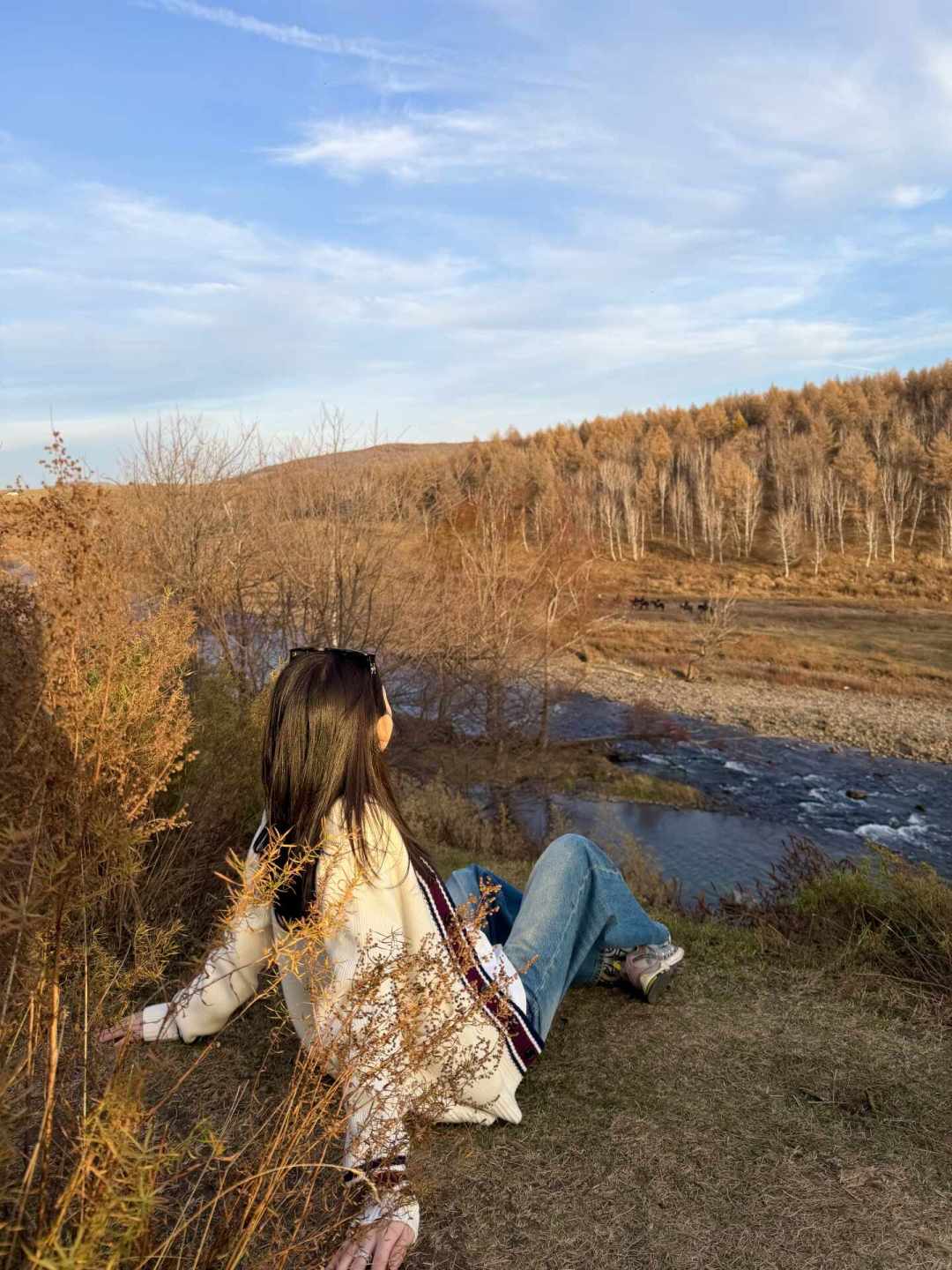 阿尔山的秋色峰值正好撞在国庆,是北方赏秋地里少见的:7月底新规刚出,订房前先把预约、票价、住宿三笔账算清