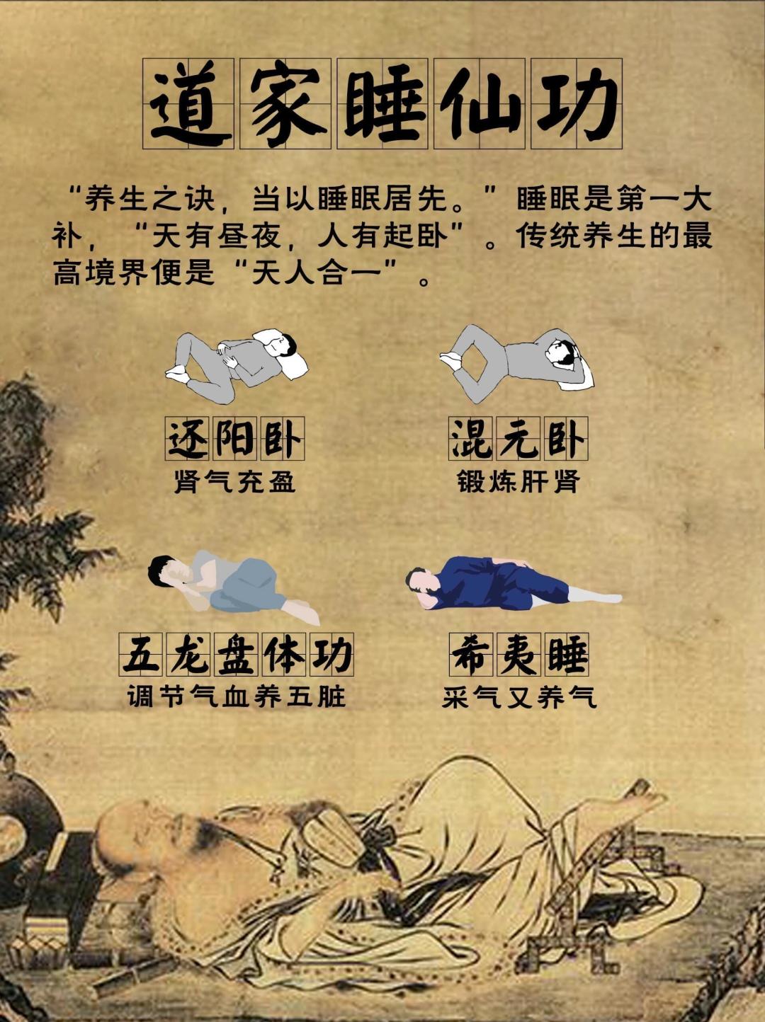 全网都在学