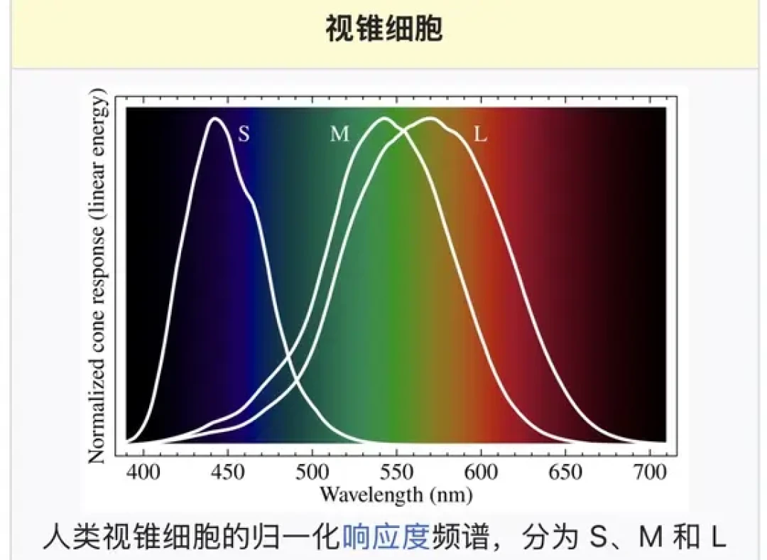 2026年还在吵的蓝黑白金裙:为什么你只能看到一种颜色,怎么强行切换阵营