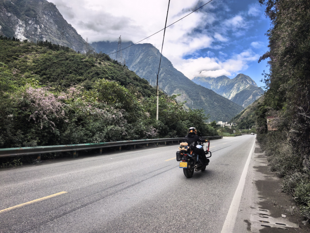 摔伤只赔四成、没证直接拒赔:翻了近半年几十条摩旅理赔记录,9月出发前把保单对照一遍