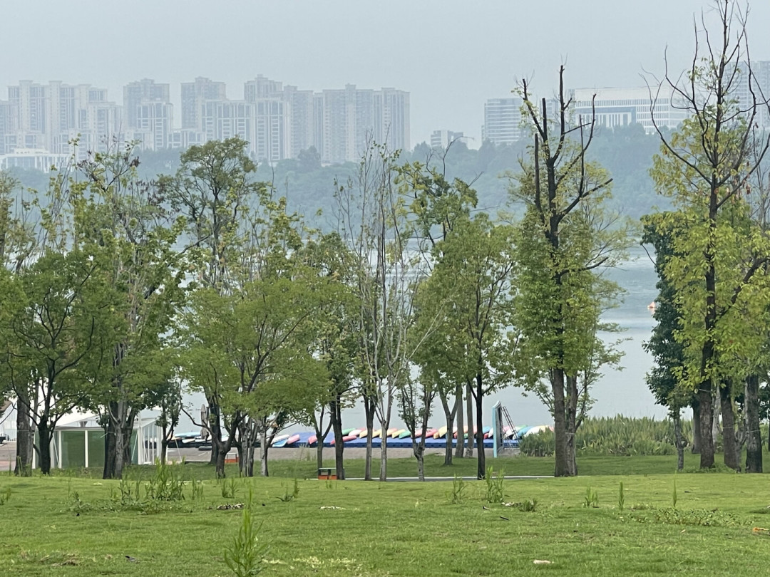 “越危险的地方鱼越大越好抓”?成都兴隆湖泄洪捞鱼被官方定性涉嫌违法违规:汛期“免费鱼”心动前,先算清三笔账