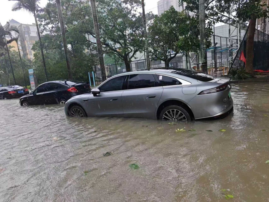 白海豚把13万辆车泡了,超强台风“沙德尔”又排上队:车泡水后,这4件事千万别做