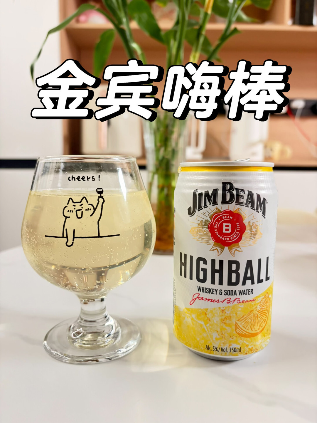 夏末烧烤备酒：金宾嗨棒买罐装还是自己带瓶调，是两笔完全不同的账