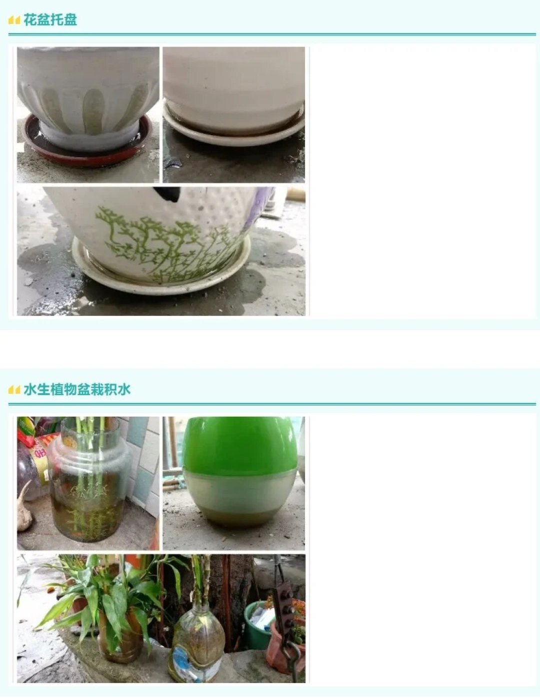 立秋后蚊子没消停,反而进入全年最凶的阶段:中疾控把登革热列进8月风险清单第一位,南下出行前,把0元到200元的防蚊账算清楚