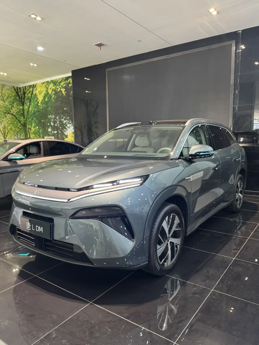 第三代唐没有DM,唯一混动大七座只剩唐L清仓:三类人三种买法
