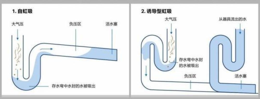夏天卫生间一开门就有异味?先别买空气清新剂:翻完全网排查帖,90%的臭源藏在这4个位置