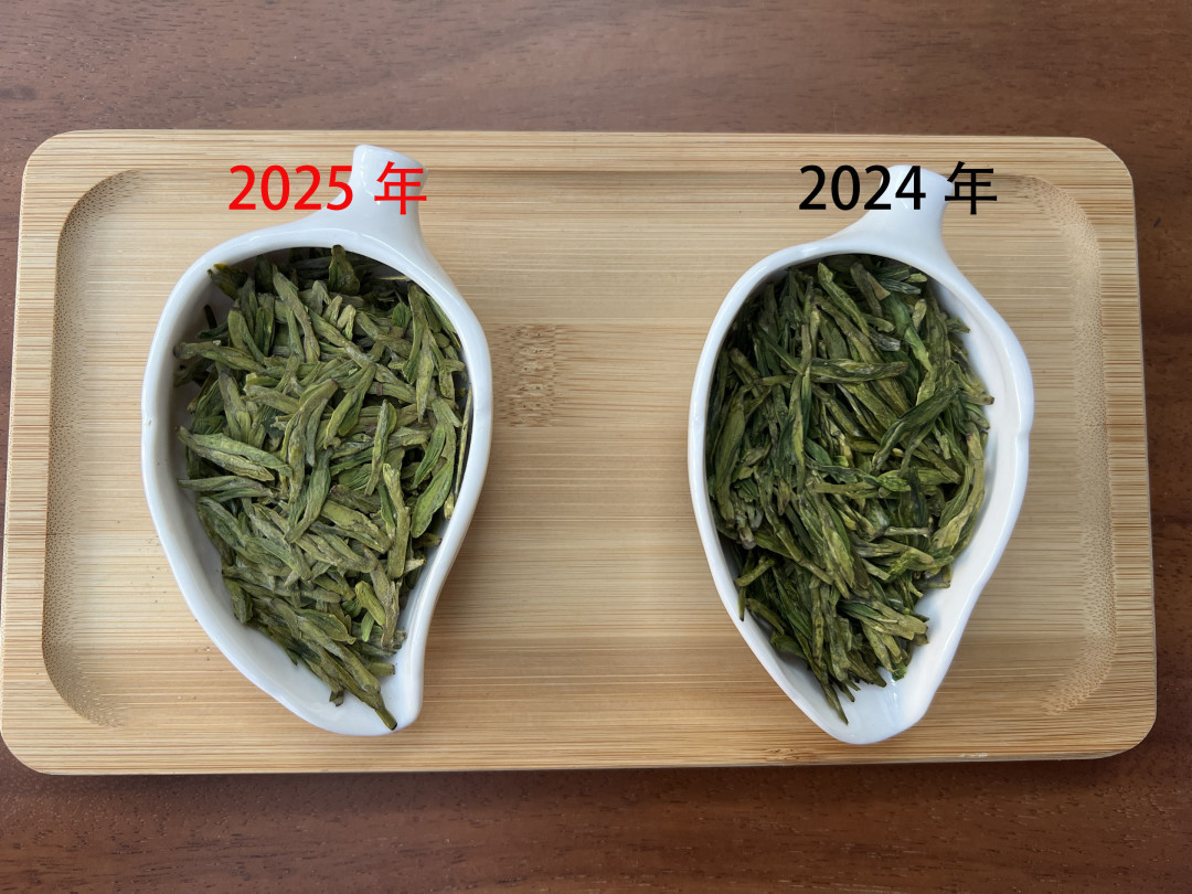 茶叶别再随手塞冰箱了:我把小红书、知乎100多篇存茶帖翻了一遍,哪3类能放冰箱、哪4类放进去就毁、受潮了怎么3秒判断,都整理好了