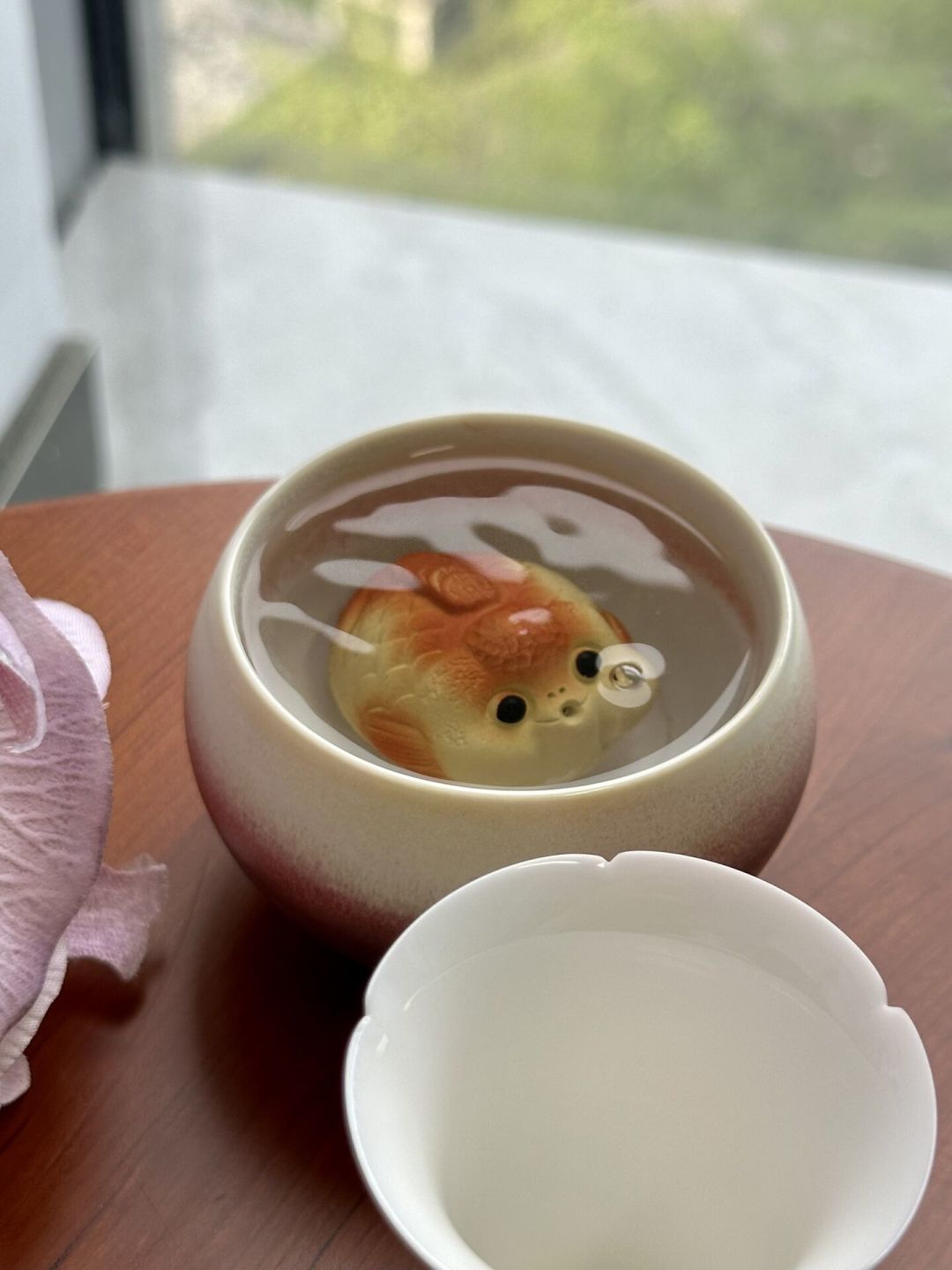 浇茶小猪会吐泡泡,3万人喊