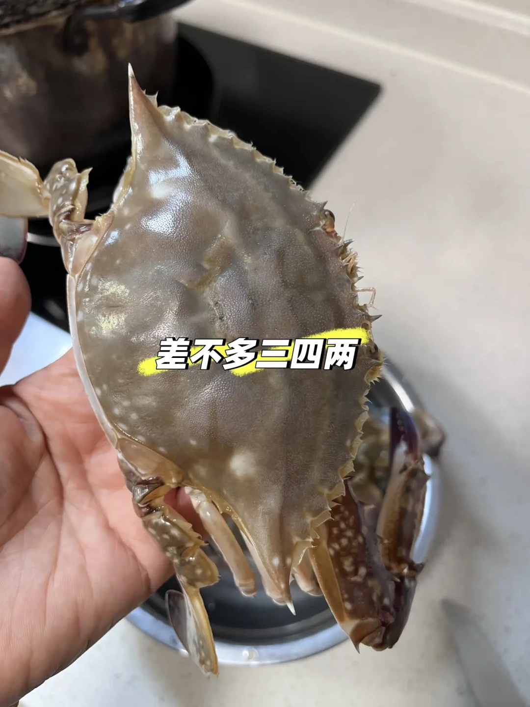 梭子蟹价格腰斩:杭州25元一斤、武汉单只个位数——翻完30条买蟹做菜帖,家庭做饭的吃法窗口浓缩成挑、做、存三关