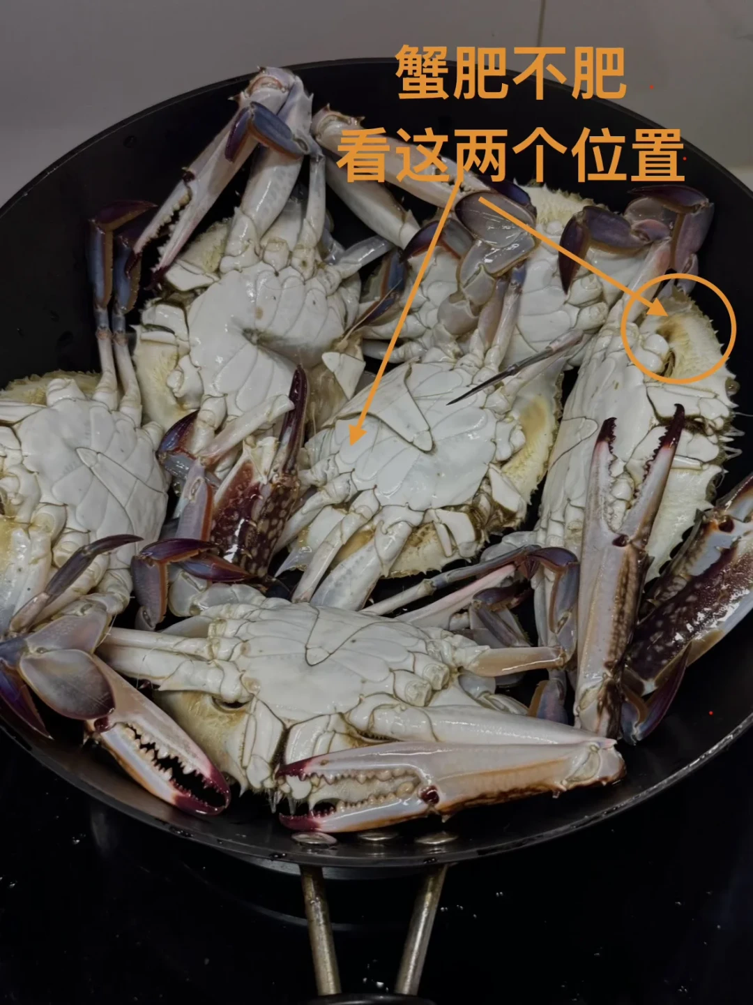 梭子蟹价格腰斩:杭州25元一斤、武汉单只个位数——翻完30条买蟹做菜帖,家庭做饭的吃法窗口浓缩成挑、做、存三关