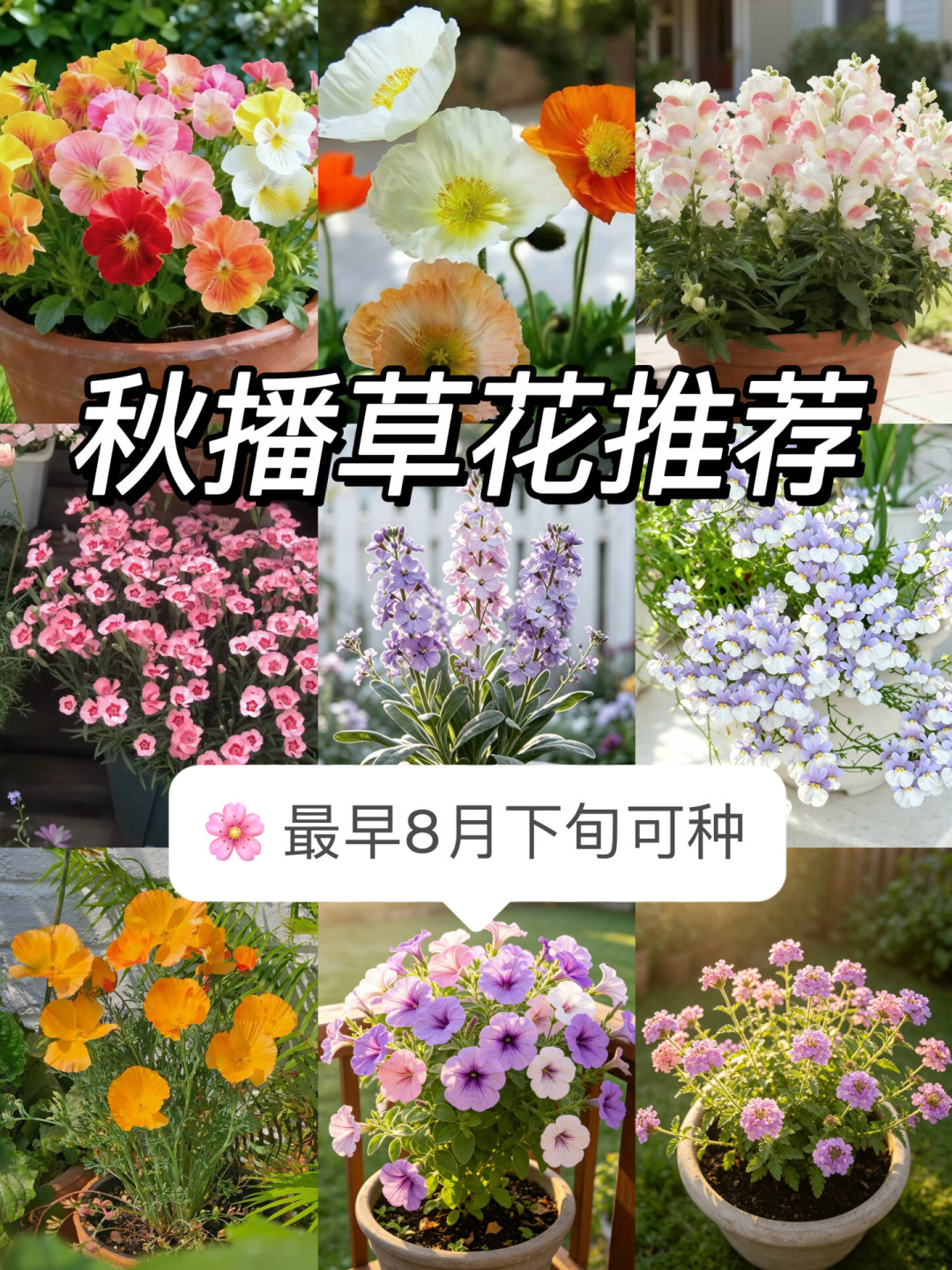 秋播开闸,假种子也进入一年一度的高发期:翻完全网20多篇吐槽帖,捋出4类套路和一份放心回购店清单