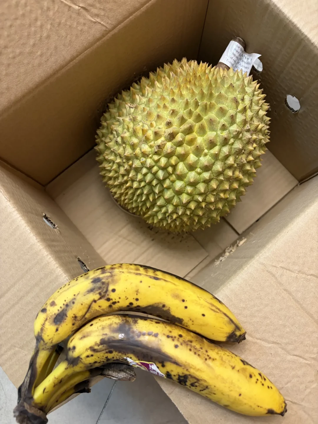榴莲跌到19.9元一斤，开出生包先别扔：没开的、已开壳的、果肉全生的，各有各的救法