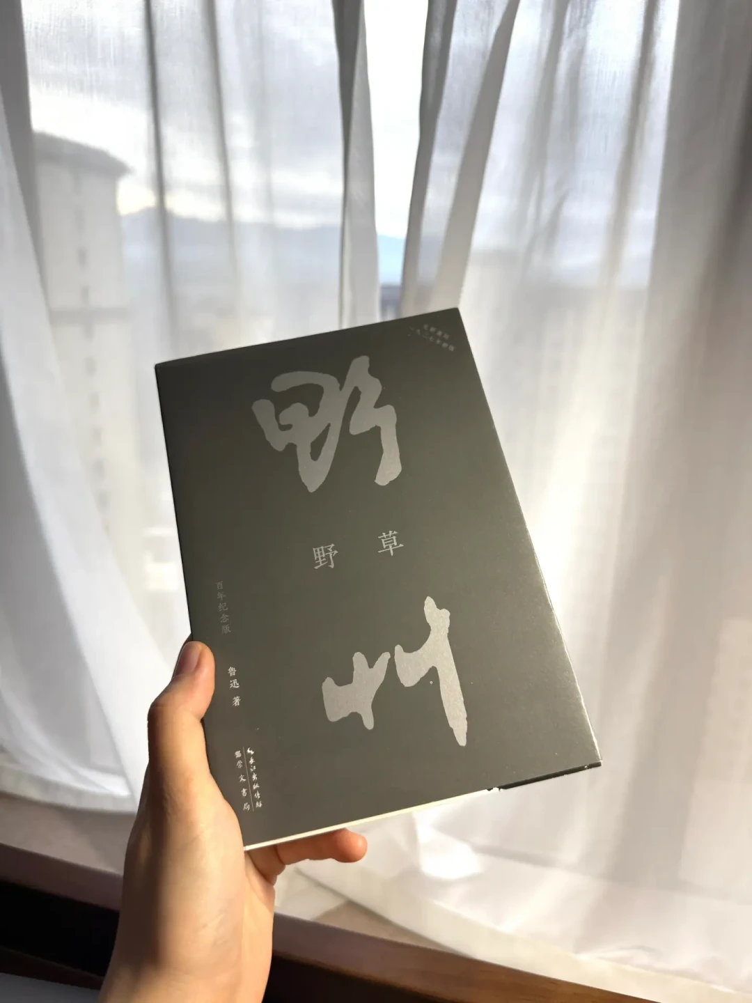 《朝花夕拾》写成100年了,鲁迅文学周周二启幕:这波“鲁迅热”是真的,但重读别选错版本