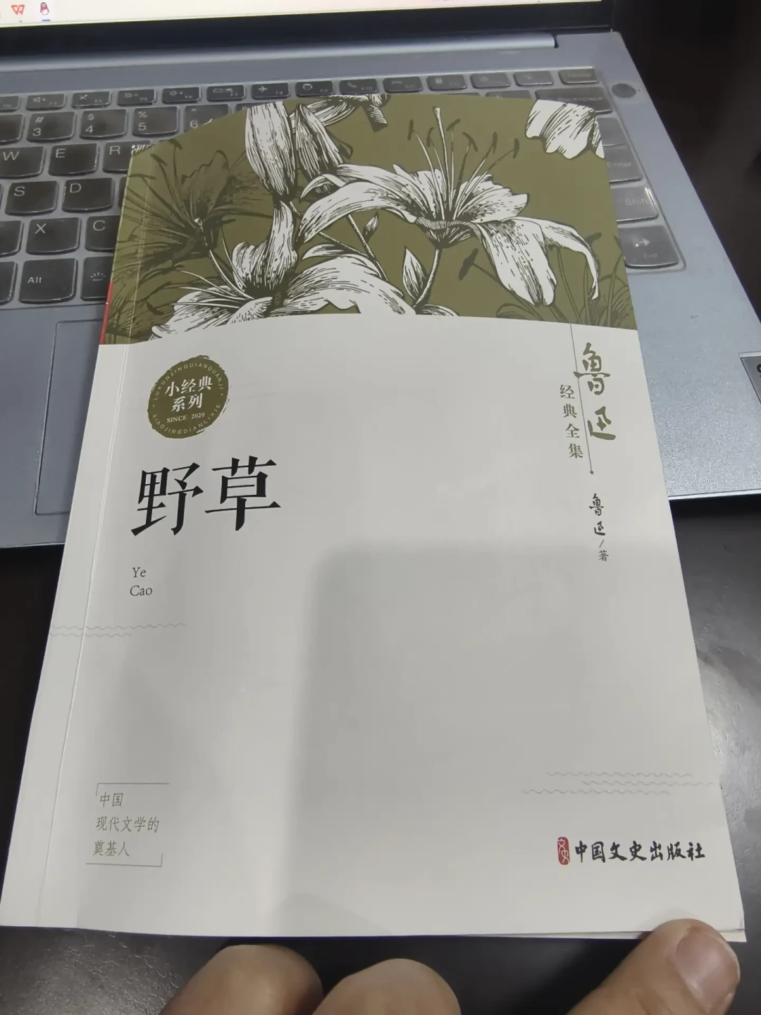 《朝花夕拾》写成100年了,鲁迅文学周周二启幕:这波“鲁迅热”是真的,但重读别选错版本