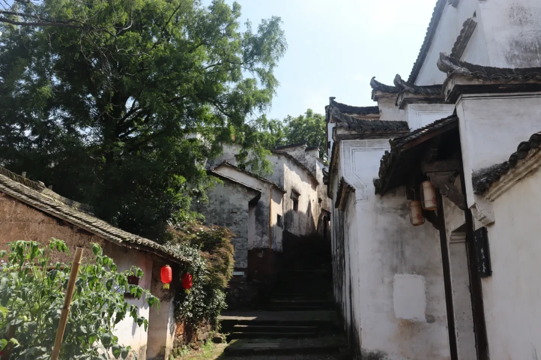 这里还住着4000多个诸葛亮后裔:诸葛八卦村85元门票该不该买,先看两种玩法怎么算