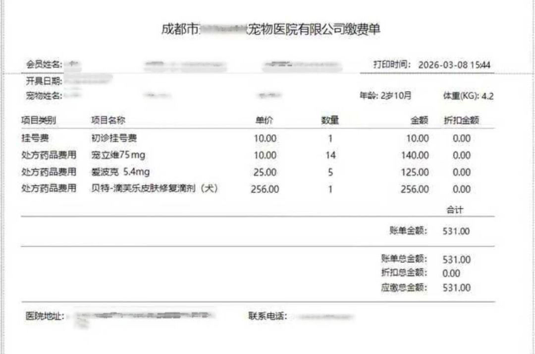 清单上最贵的那味药,恰恰不赔:宠物看病账单里保险公司不认的3类项目