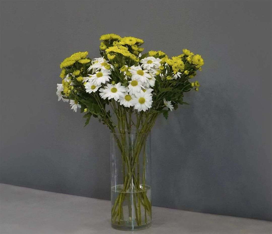 秋菊季开跑:鲜切大菊几块钱一支,但 8 月的头茬,先看清时节、品种和坑再下单