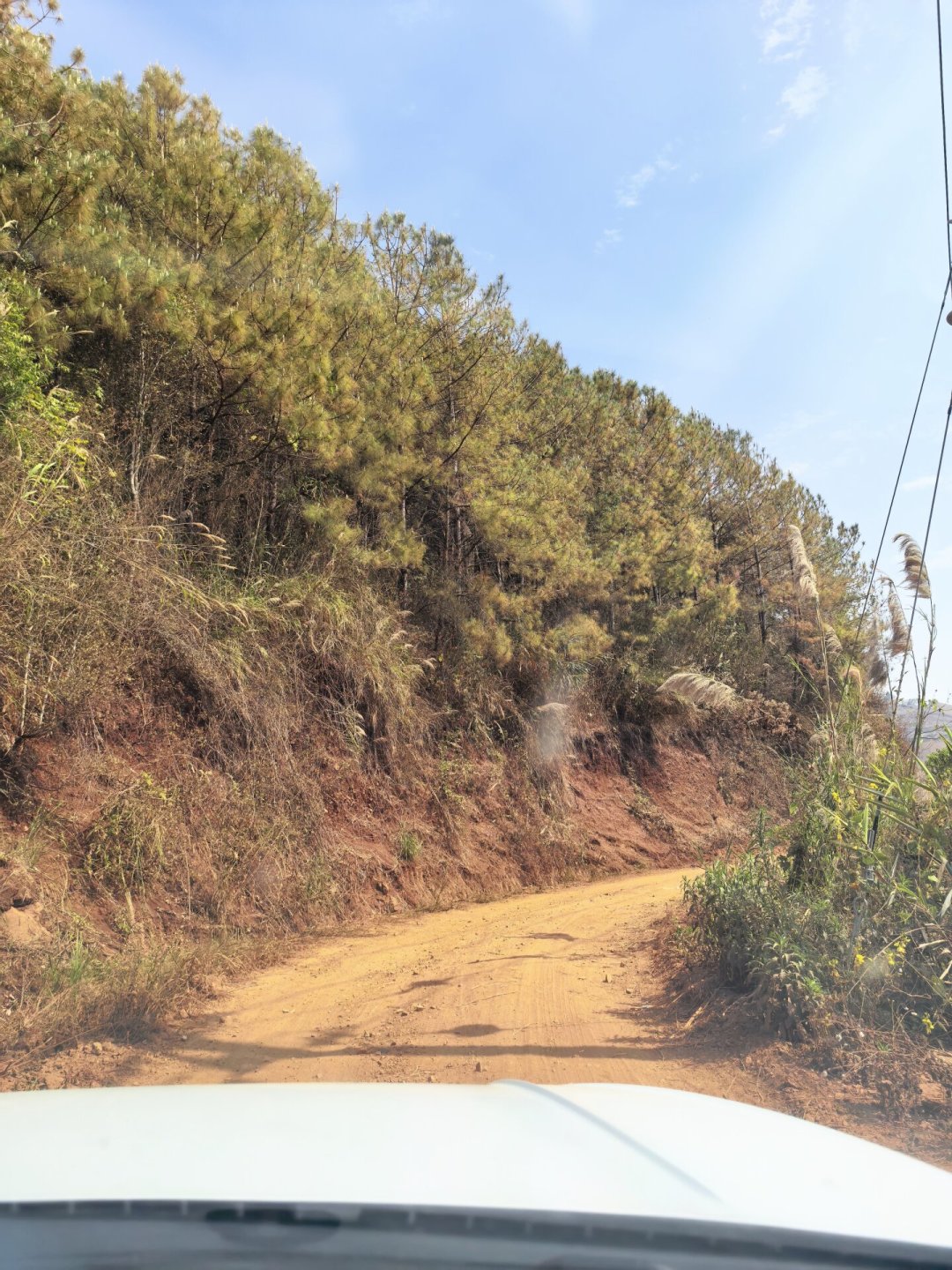 “预计节省6分钟”,结果被导上了山间小路:翻完1283条被导航坑的评论,我整理出这份掉头指南