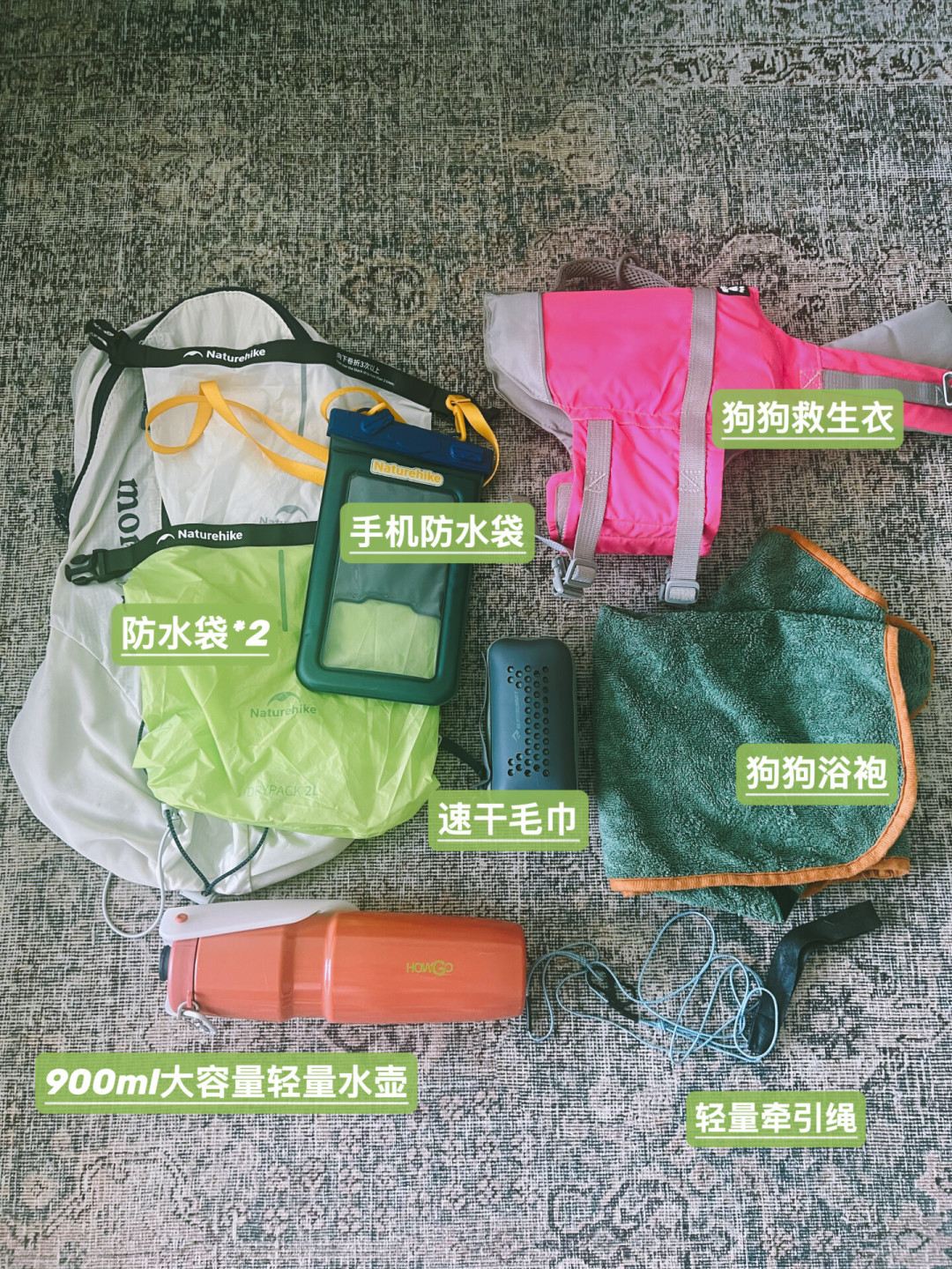 带狗玩桨板火了,但“宠物友好”有两个版本:下水前先算三笔账