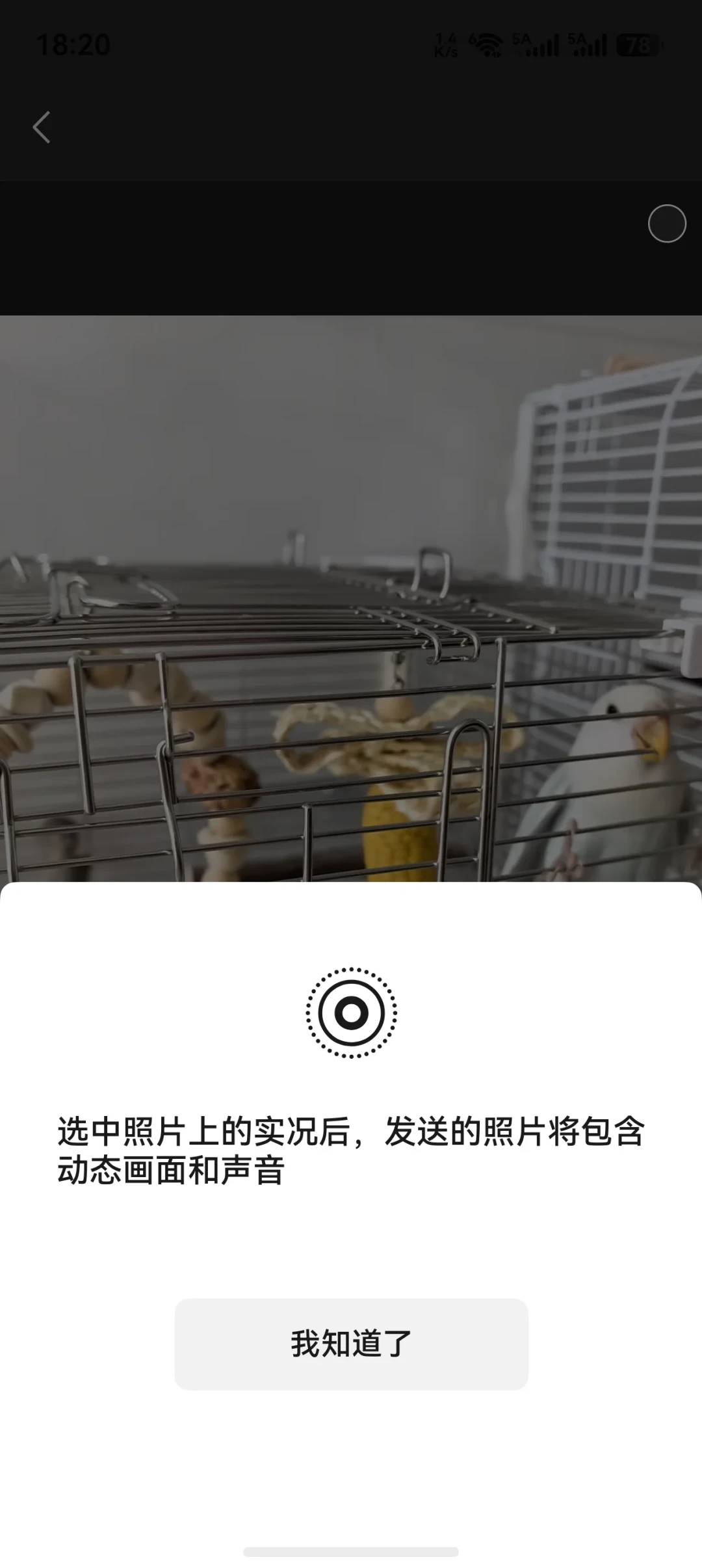 鸿蒙设备刚破8000万、6.1正在推送：第一批升级的人，已经先在微信上栽了跟头——7个真实问题+升级前4件事
