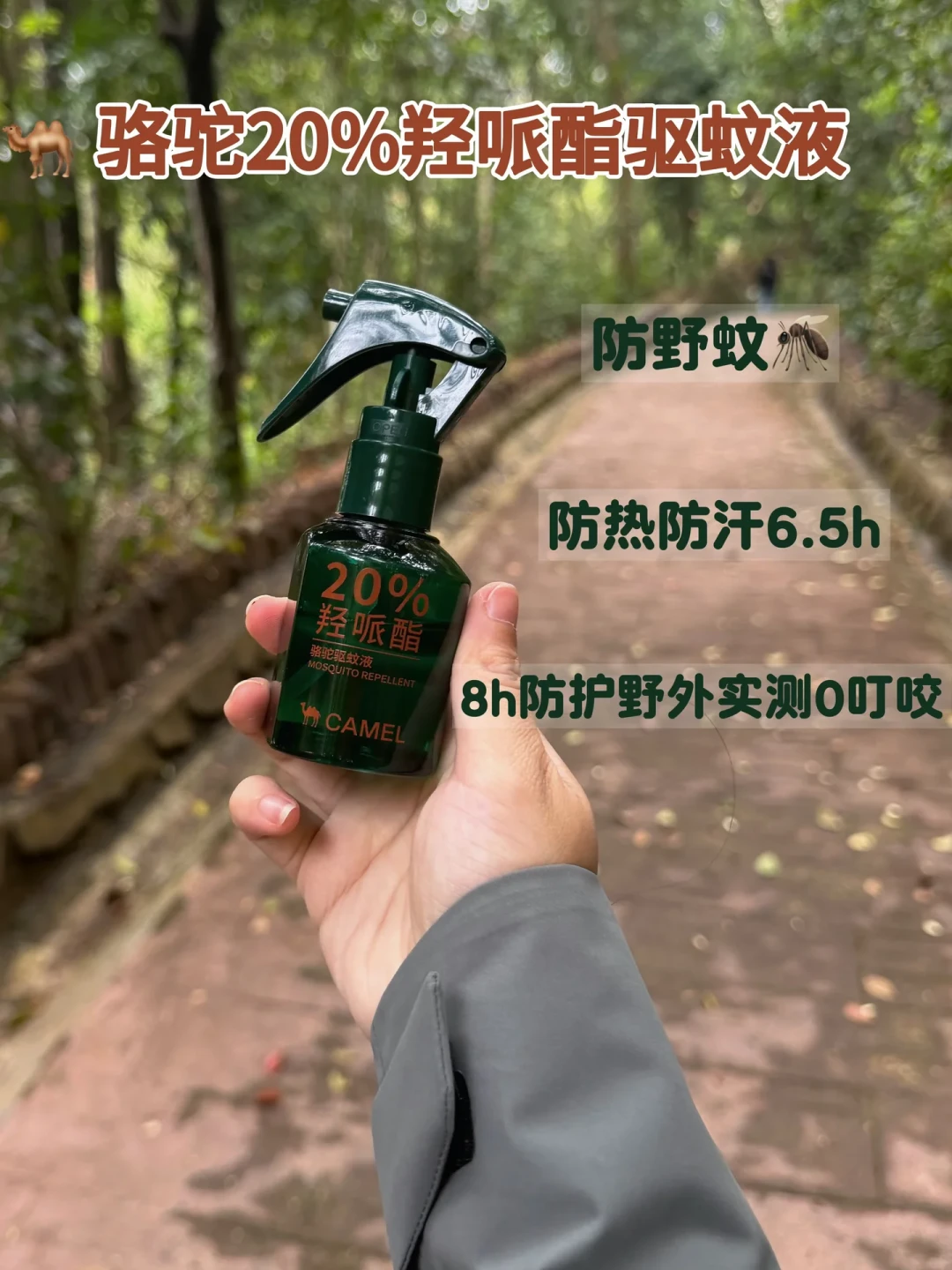 喷了驱蚊液还是被咬一身包:秋天露营的真敌人,不是蚊子