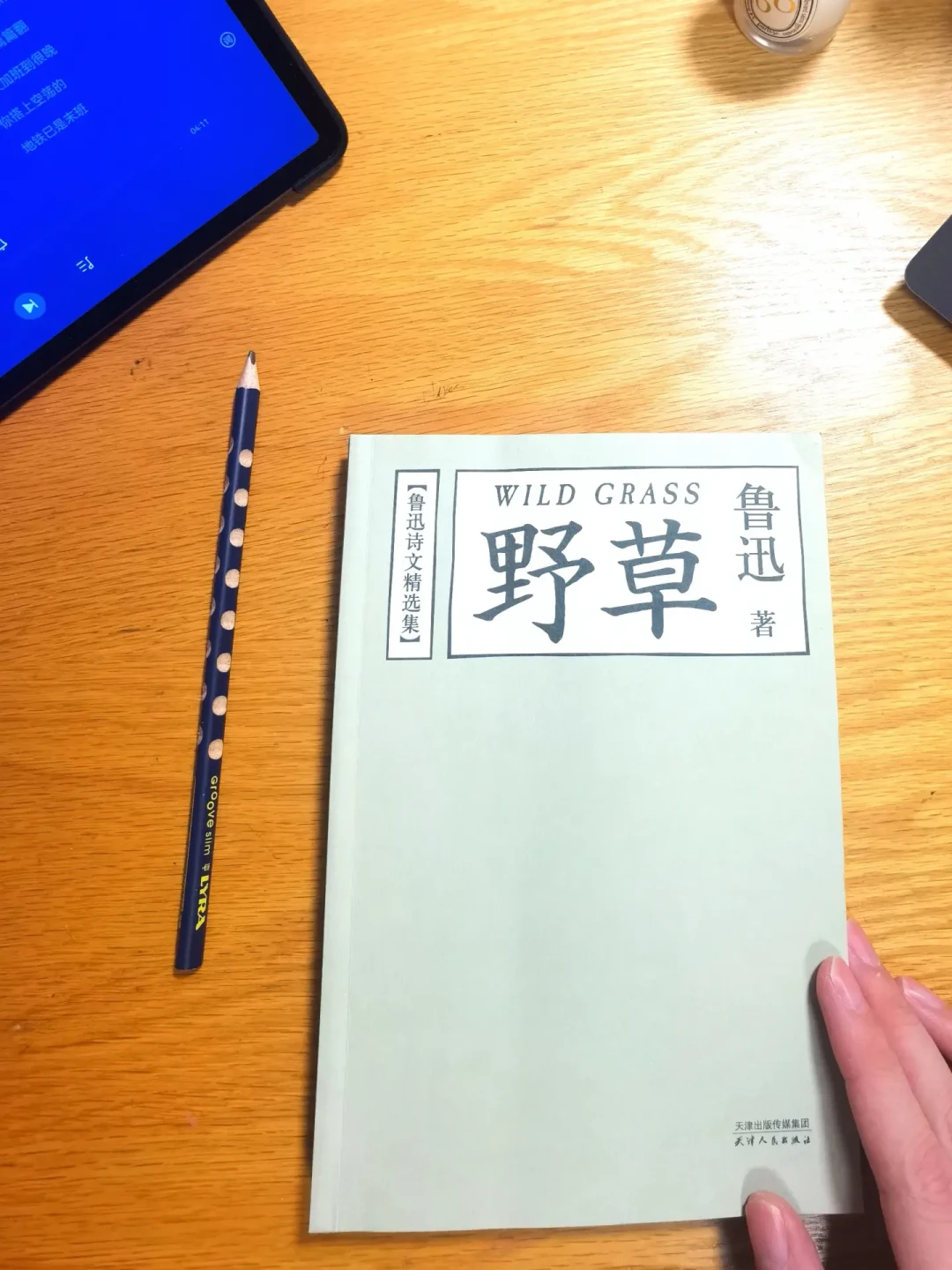 王计兵拿鲁奖一个月了,争议还没停:事实、两派,和《低处飞行》值不值得读