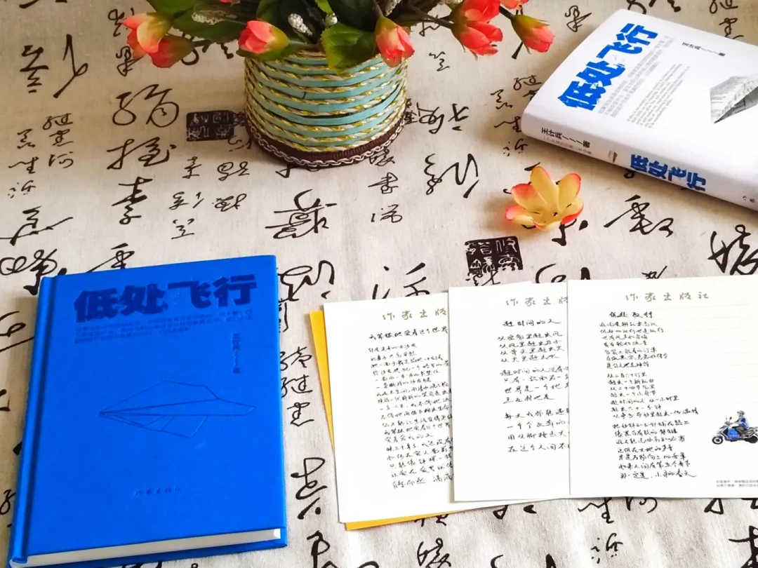 王计兵拿鲁奖一个月了,争议还没停:事实、两派,和《低处飞行》值不值得读