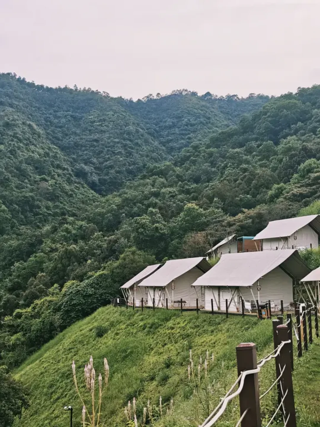 先别急着买全套露营装备，算完这三笔账再决定钱怎么花
