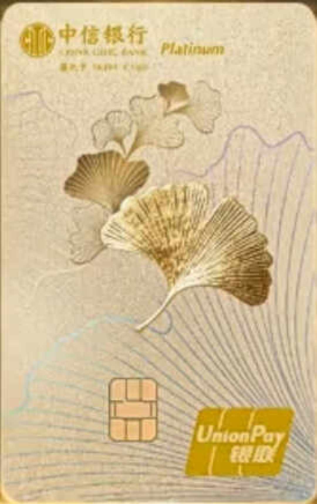 中信银杏卡全面铺开:三档卡+年费返还限时窗口,这张「家庭卡」适合谁、办前先问清三件事