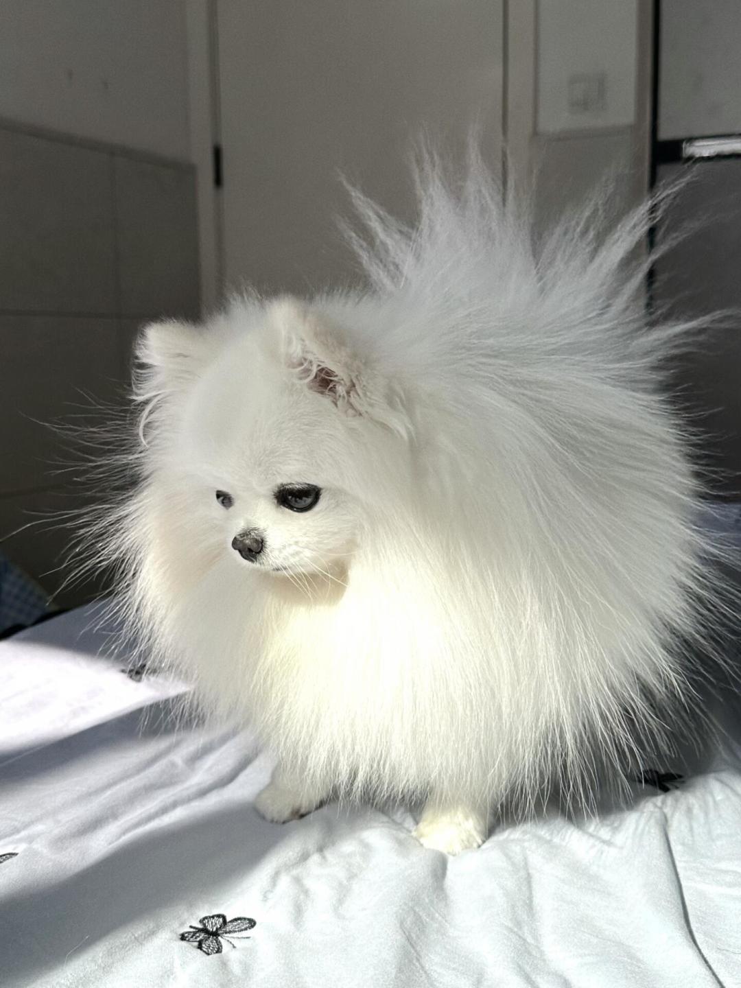 还有两周就是秋天