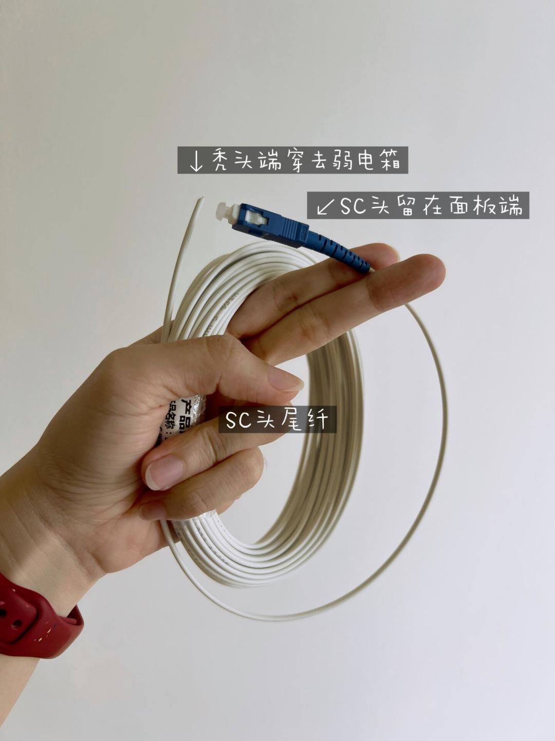装修时每条网线捎带一根光纤？翻了上千条评论算完账：这3类家庭该拉，怎么拉有2个坑