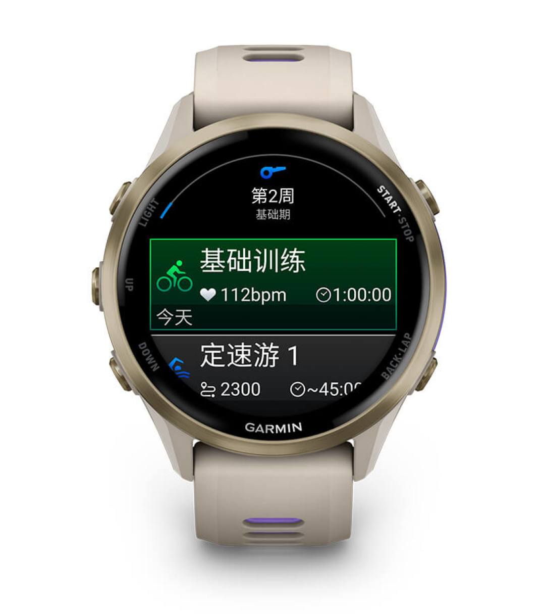 佳明两步验证是条单行道?Forerunner用户开通ECG前,先算清这笔账