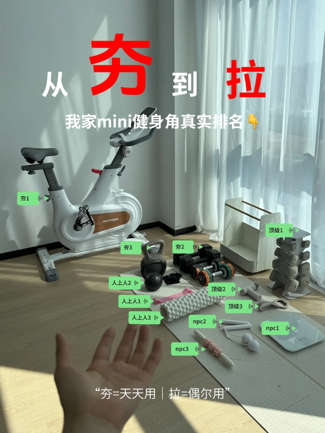 有的说一副顶15副,有的说是智商税:固定和快调哑铃,这笔账我们算清楚了