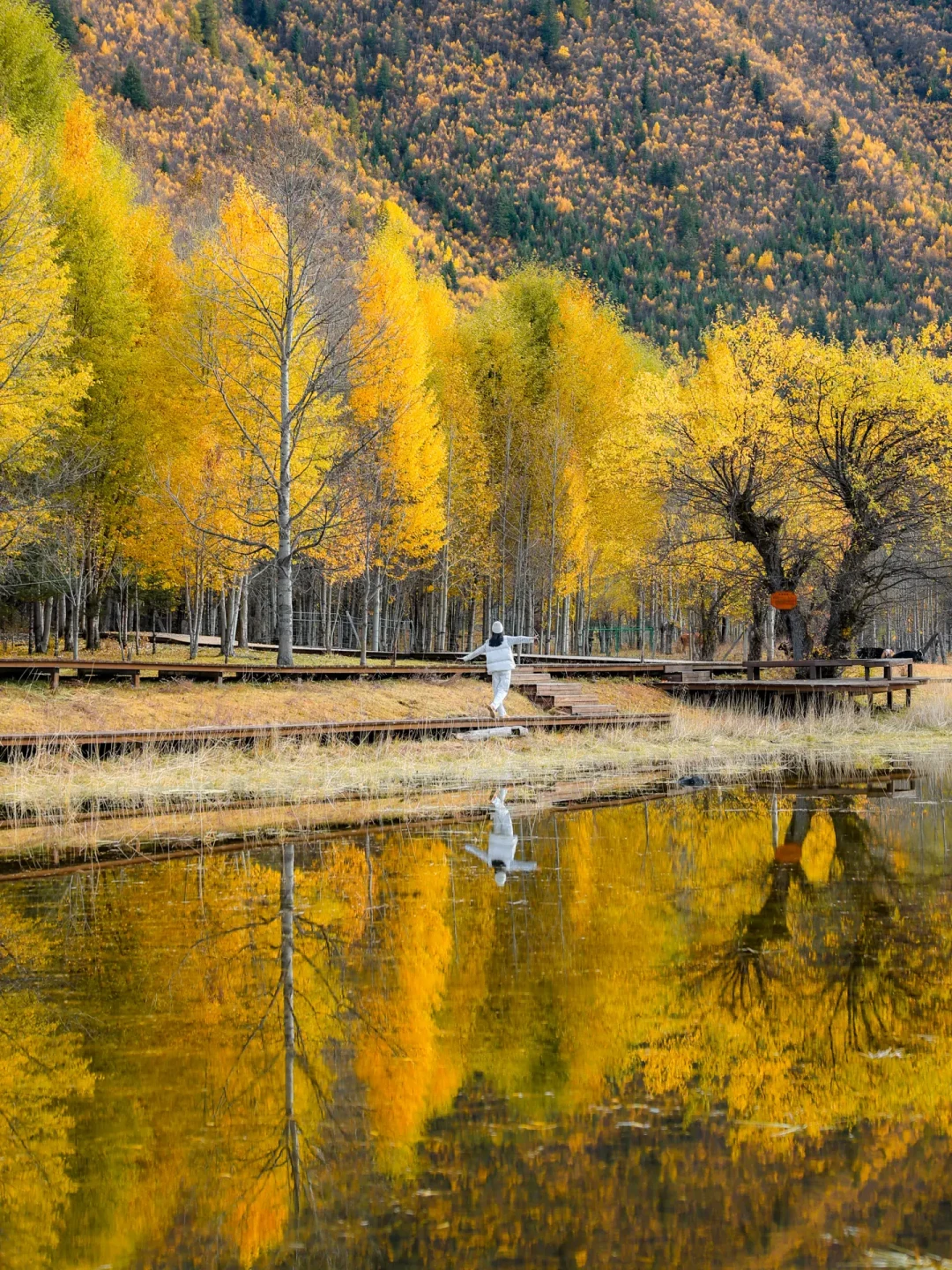 川西的草开始黄了，9月去就是扑空？把9-10月出行窗口捋清楚再决定