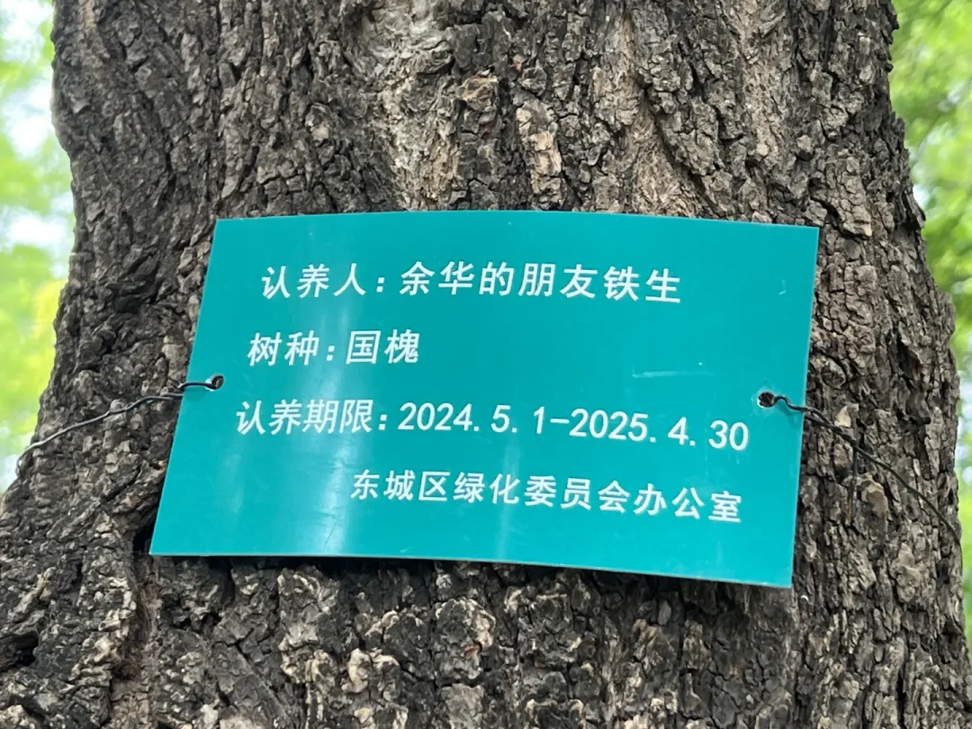 余华和史铁生的树，又被网友续费了：50块钱，去地坛认养一份“友谊”
