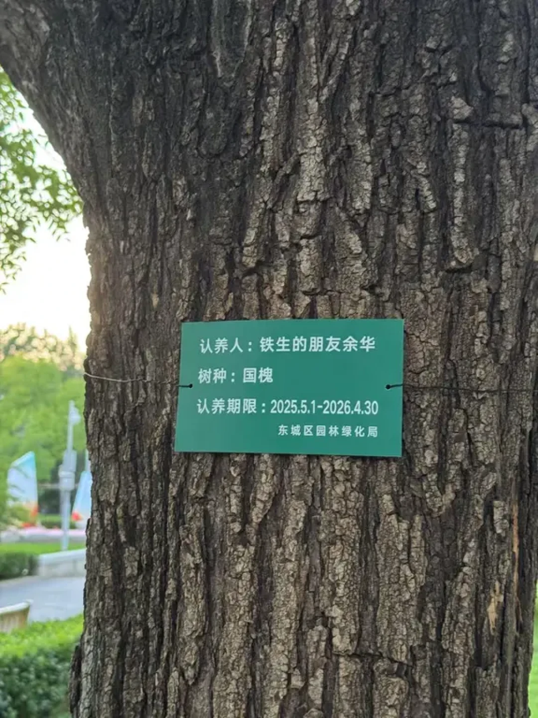 余华和史铁生的树，又被网友续费了：50块钱，去地坛认养一份“友谊”