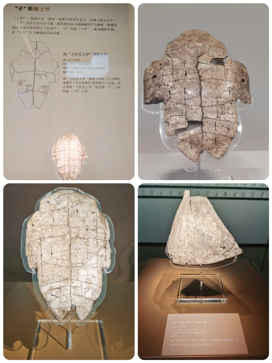 殷墟博物馆三楼,一个被大多数人路过的特展:1583片甲骨,记着商朝小王子的病假条和车祸现场