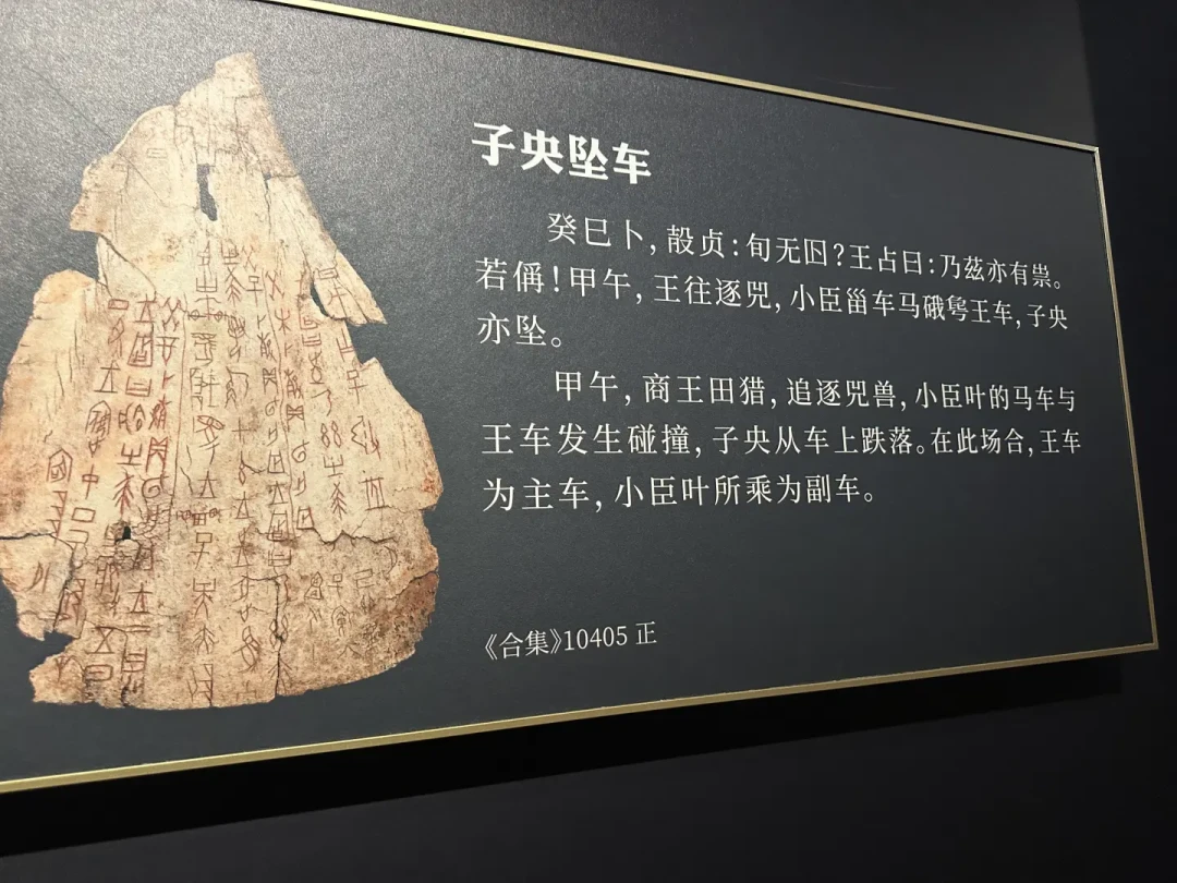 殷墟博物馆三楼,一个被大多数人路过的特展:1583片甲骨,记着商朝小王子的病假条和车祸现场
