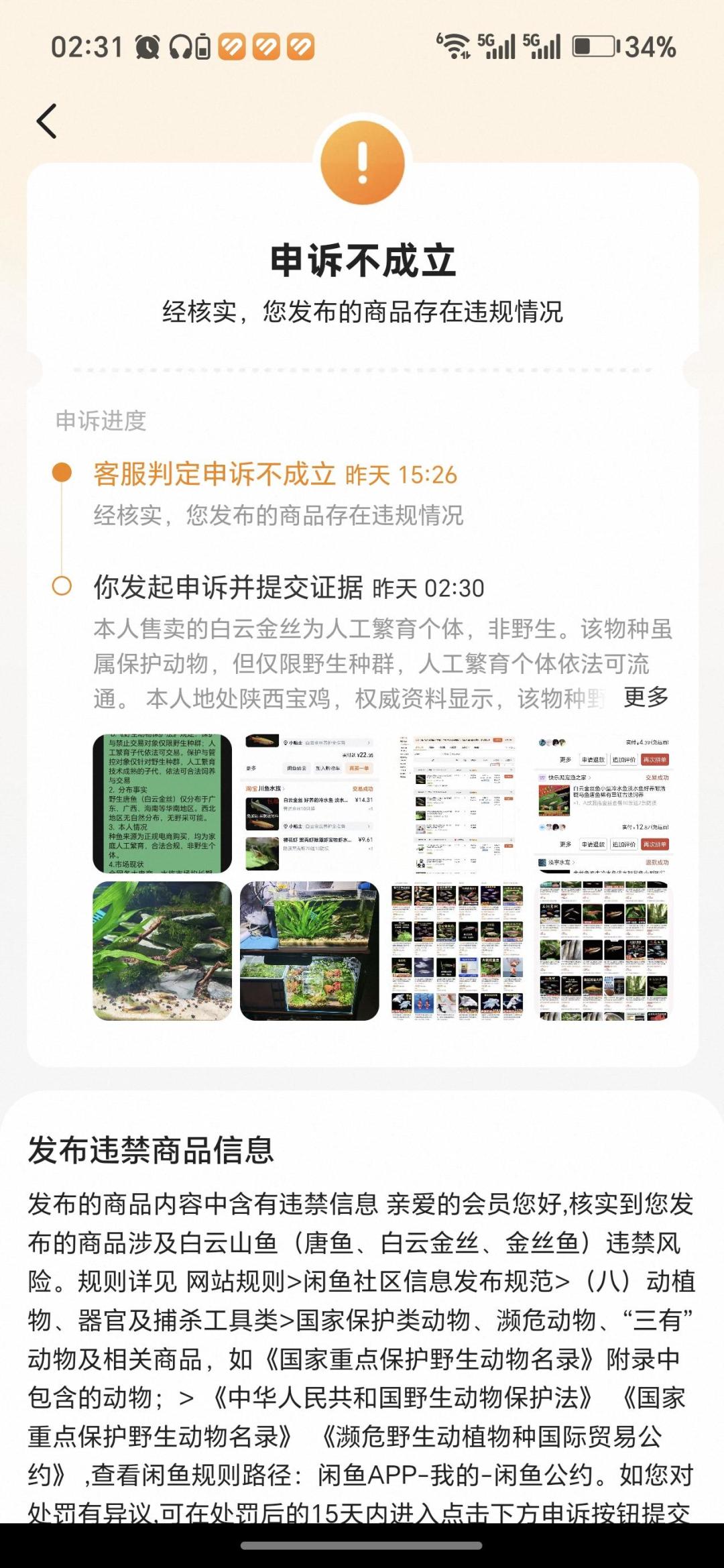白云金丝1块钱一条,野生的却是国家二级保护动物:原生缸玩家八月野采避坑清单