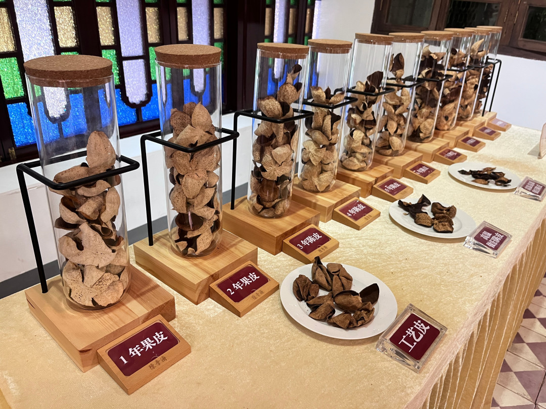 比同仁堂早69年、吉尼斯认证“全球最长寿药厂”:这家426岁广州药厂把工厂改成免费博物馆,怎么逛一篇说清
