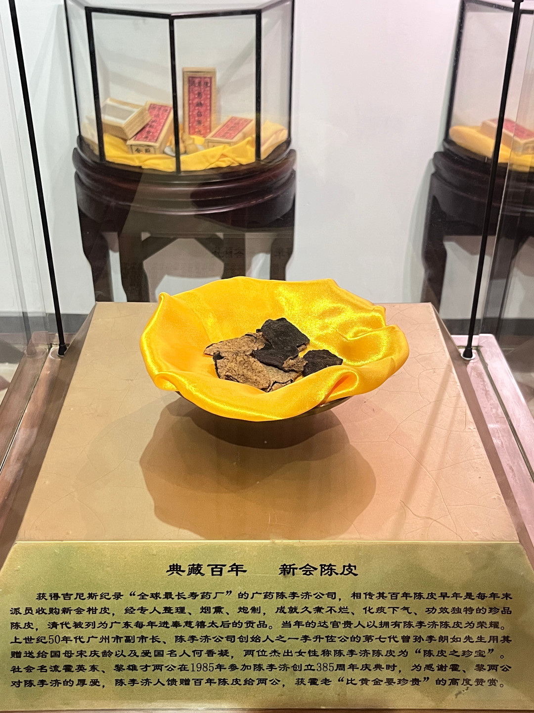 比同仁堂早69年、吉尼斯认证“全球最长寿药厂”:这家426岁广州药厂把工厂改成免费博物馆,怎么逛一篇说清