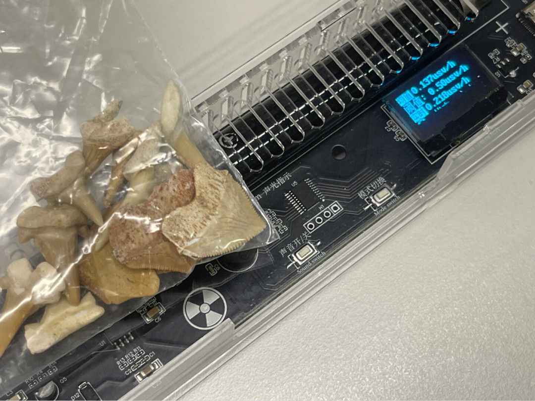 家里摆化石有辐射?海关查获的“能量石”超标上千倍,但你挖的菊石大概率没事