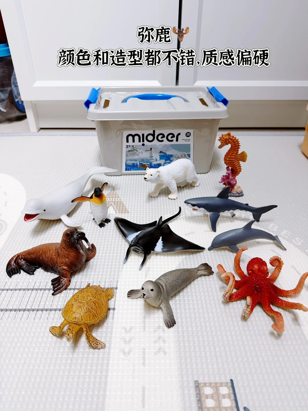 50元的动物模型真比10元的好吗?交叉看了十几篇真实对比,只有野生动物这一类值得追品牌