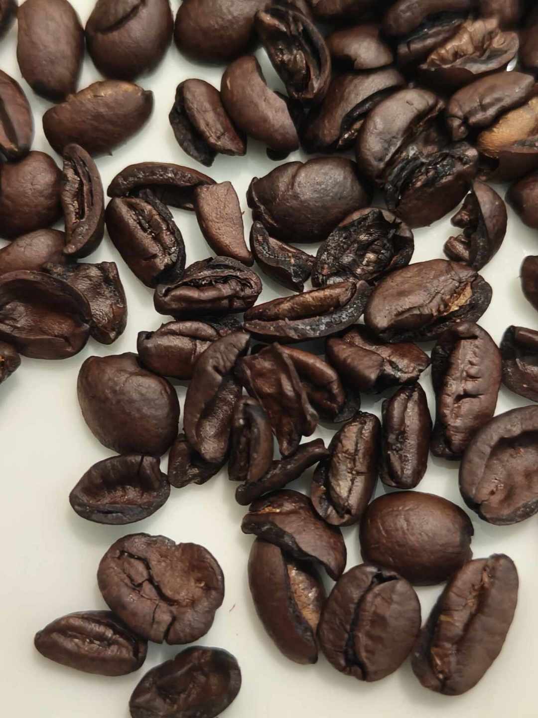 一罐illy豆子五分之一是坏豆?翻完全网吐槽帖和好评,我画了这条