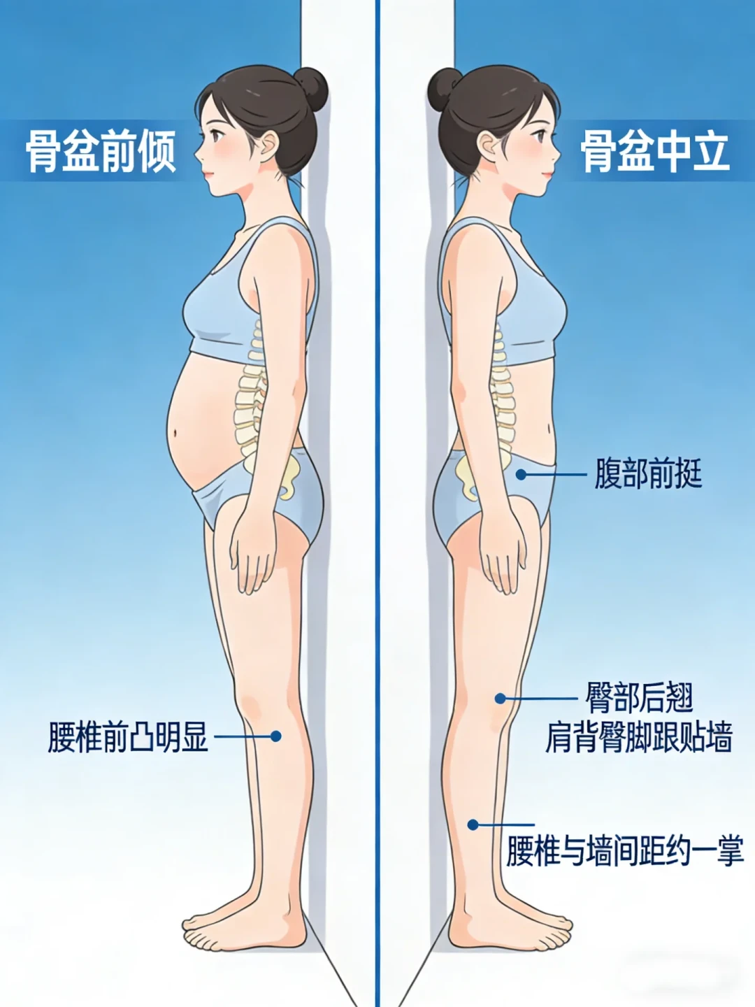 卷腹减不掉的小肚子,可能根本不是胖:先分清这4种情况,再决定练什么、花什么钱