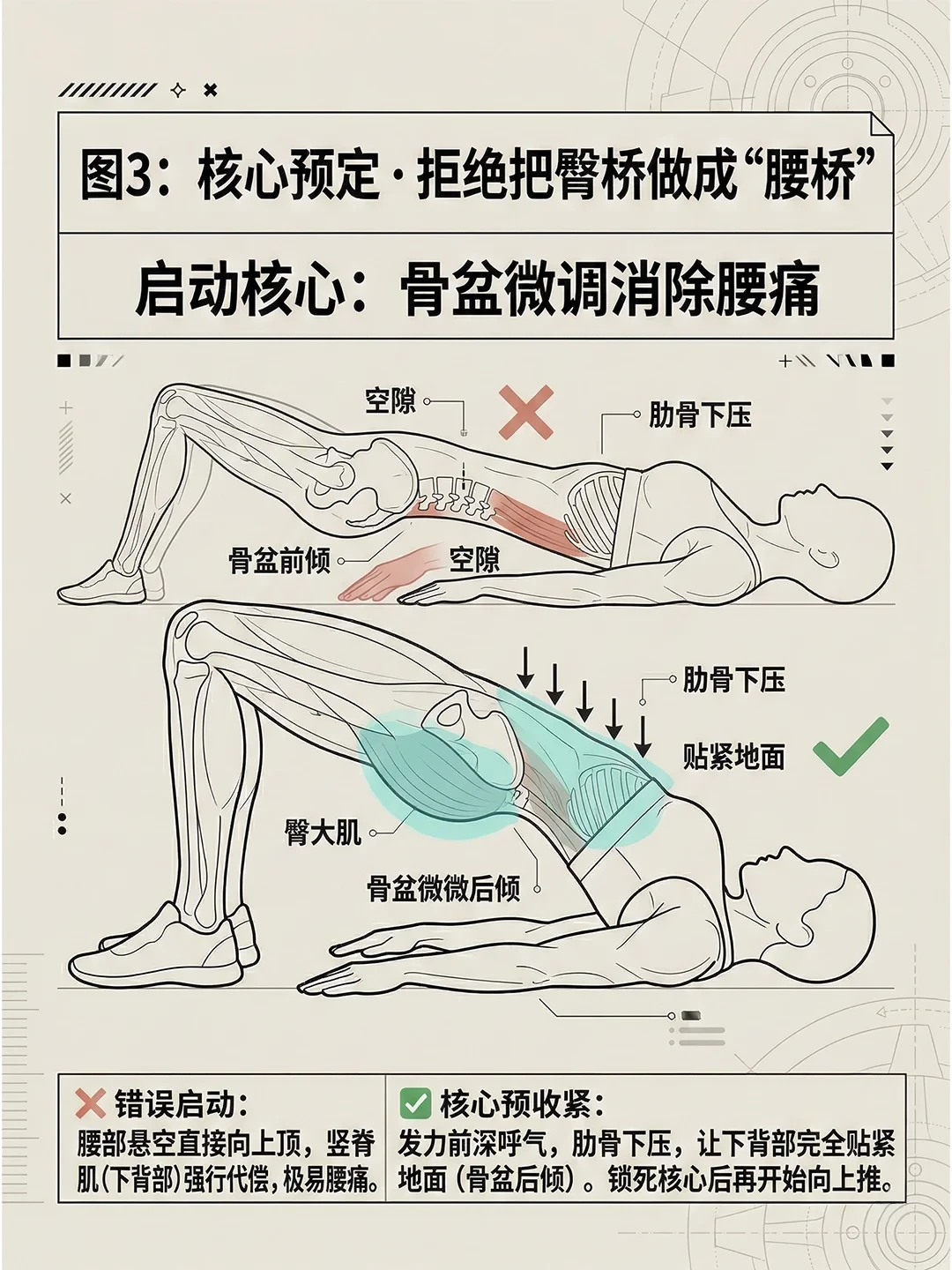 卷腹减不掉的小肚子,可能根本不是胖:先分清这4种情况,再决定练什么、花什么钱