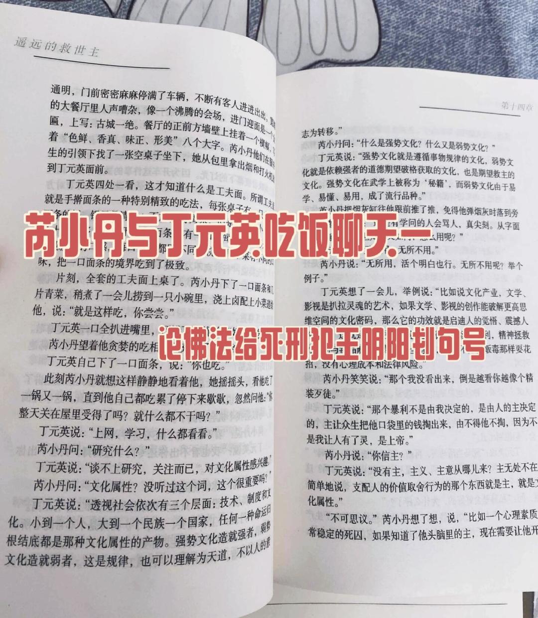 丁元英给芮小丹算过一笔账:500万本金、年息3%、第15年还清——然后她拒绝了