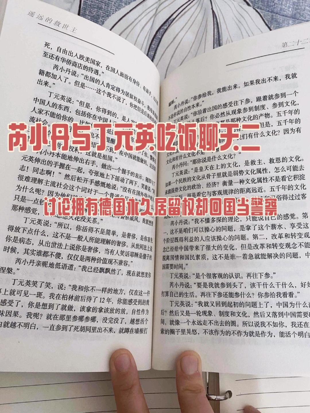 丁元英给芮小丹算过一笔账:500万本金、年息3%、第15年还清——然后她拒绝了